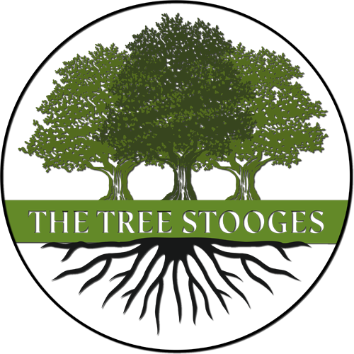 the tree stooges logo