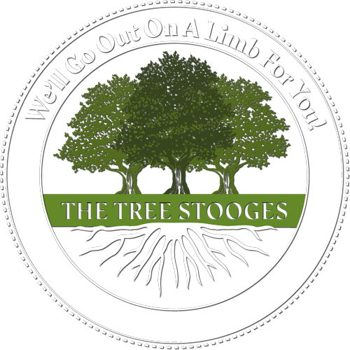 the tree stooges logo